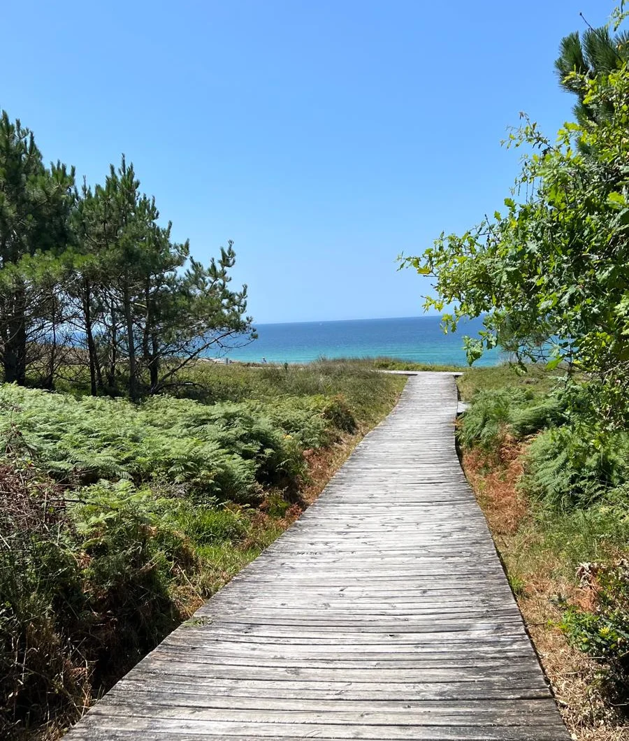 Beach image on Silvina Counselling website